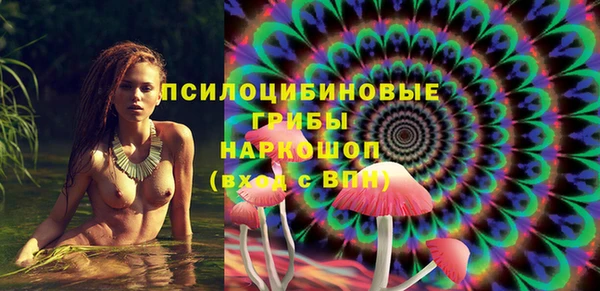 метадон Арсеньев