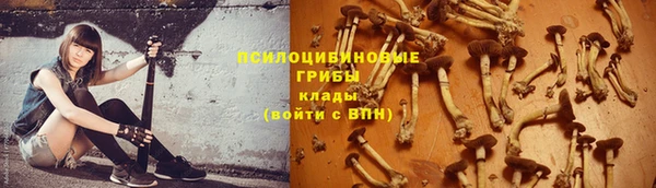 2c-b Аркадак