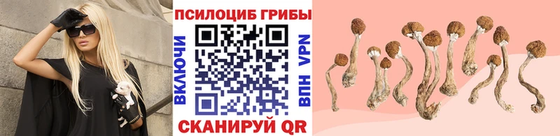 Галлюциногенные грибы GOLDEN TEACHER Собинка